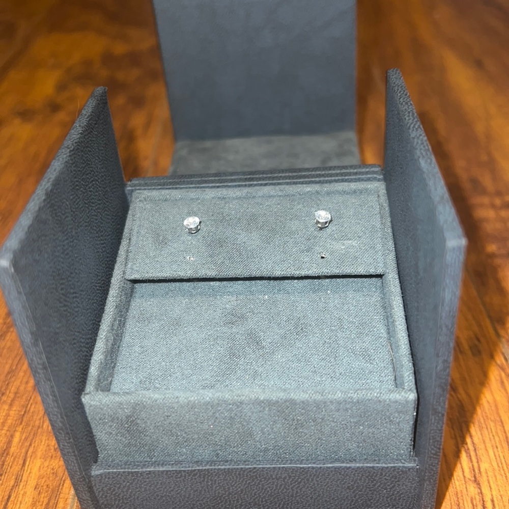 Surgical Steel and Diamond earrings